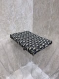 Dior wallet100