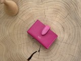 Celine wallet58