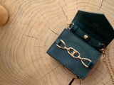Celine wallet100