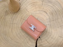Celine wallet73