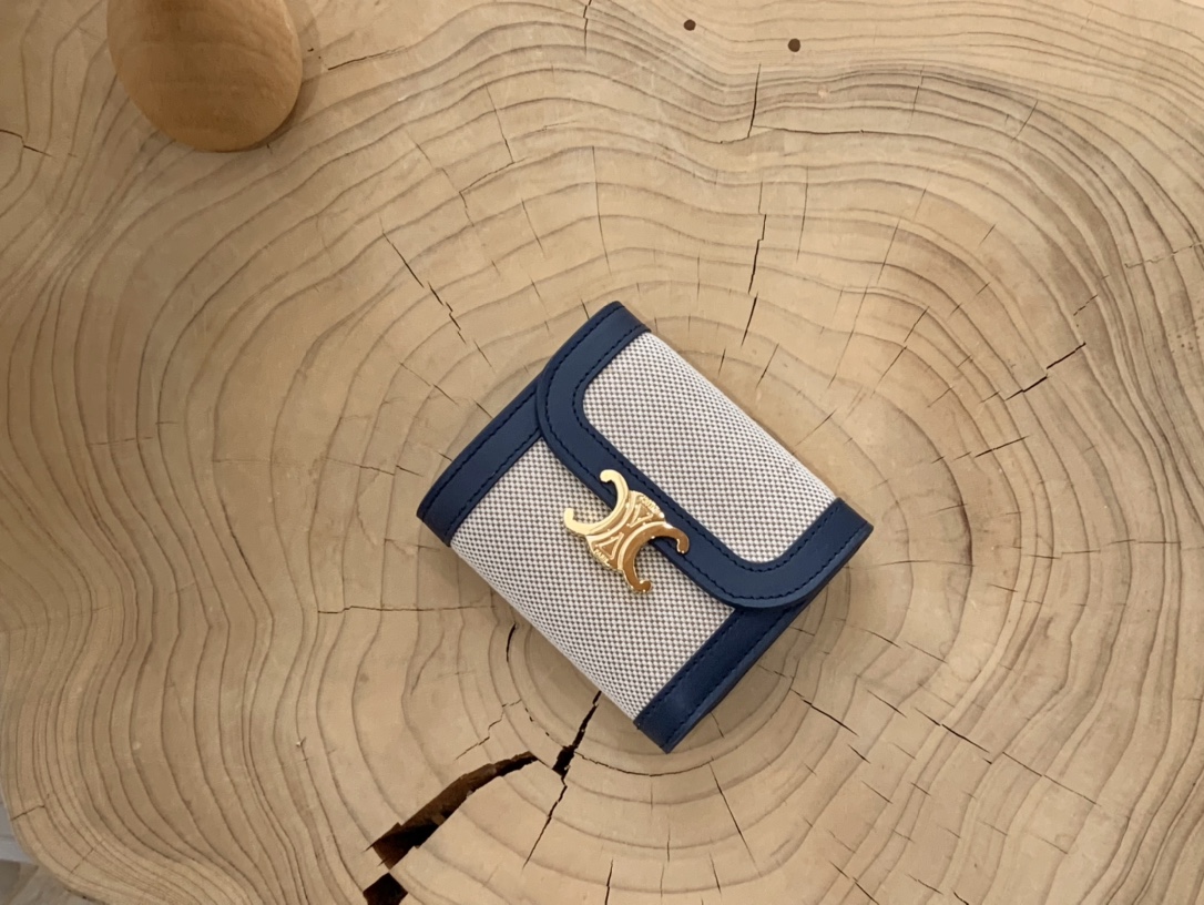 Celine wallet67