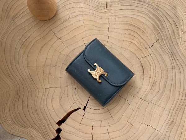 Celine wallet66
