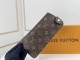 LV eyeglasses holders