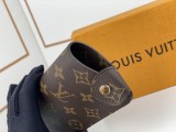 LV eyeglasses holders