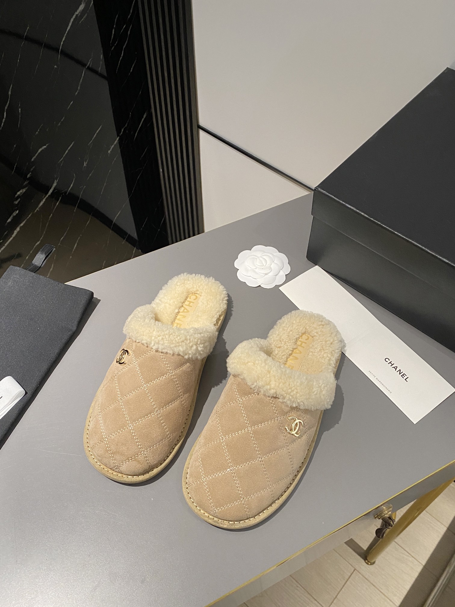 Chanel Shoes480
