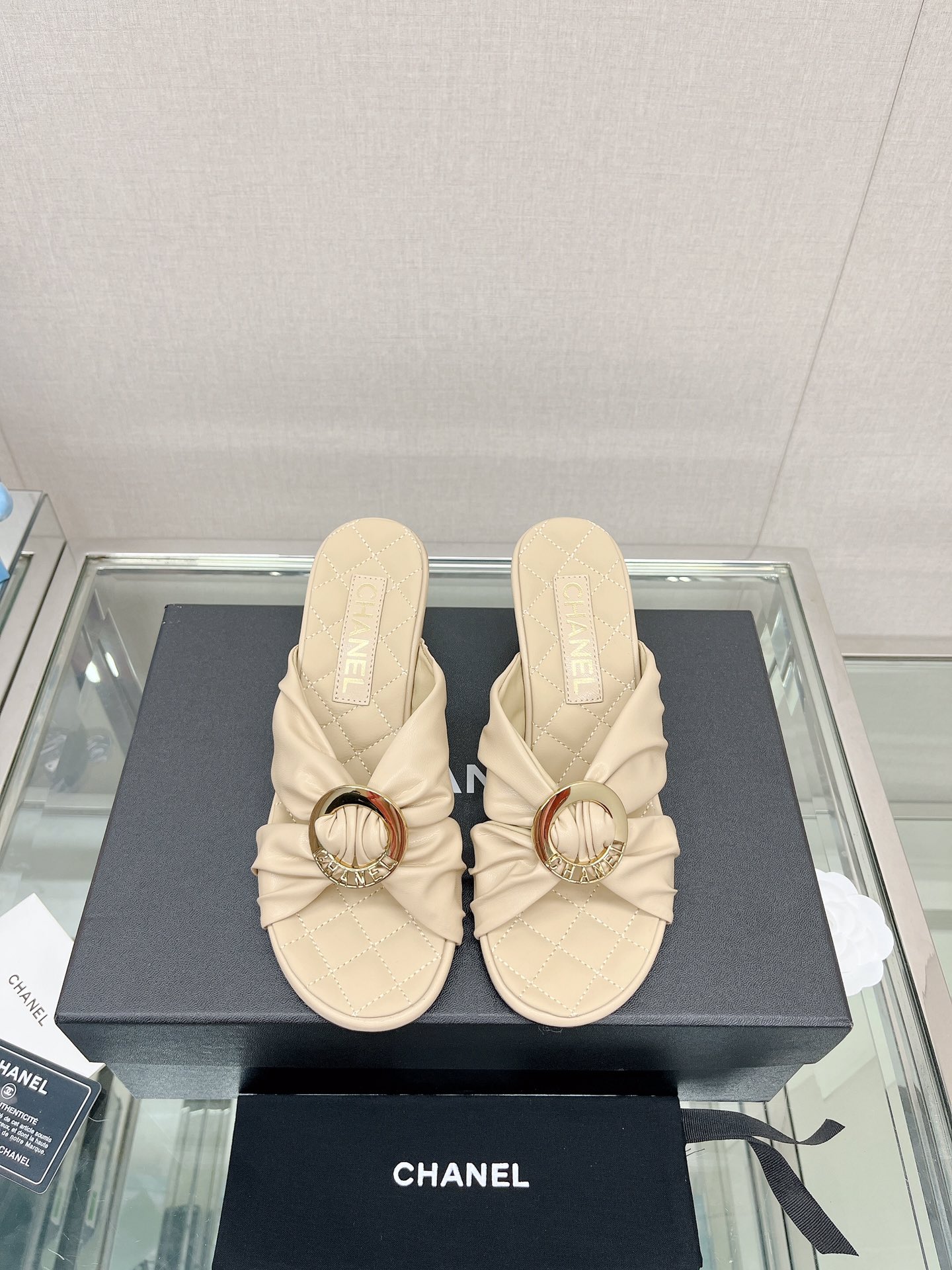 Chanel Shoes569