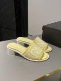 Chanel Shoes309