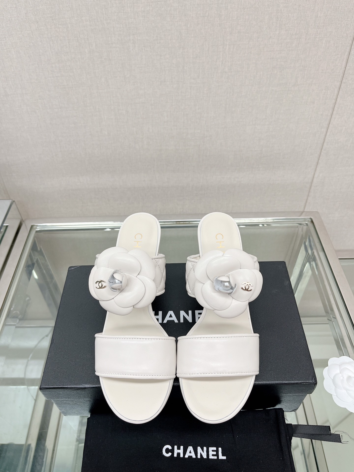Chanel Shoes540