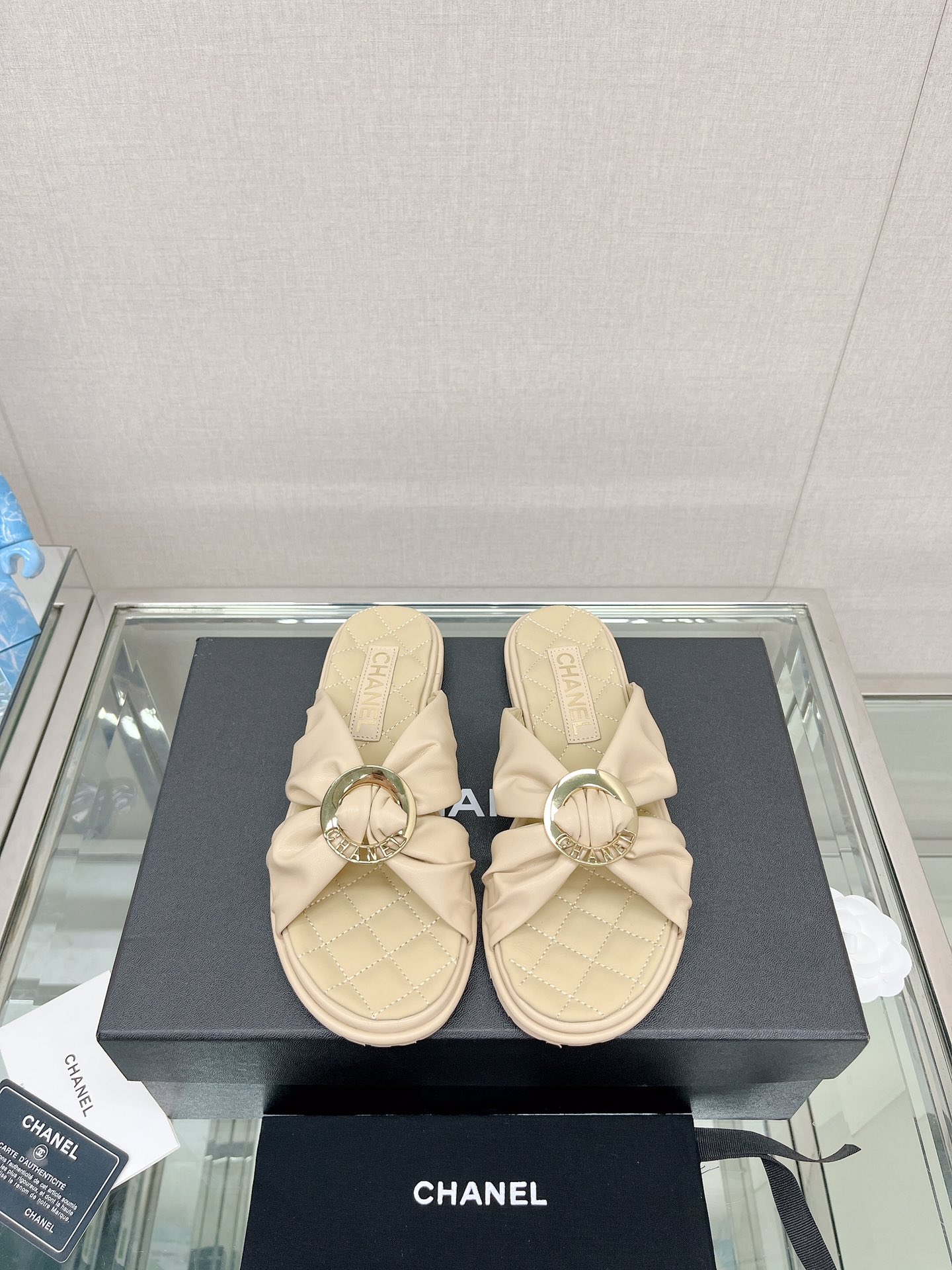 Chanel Shoes572