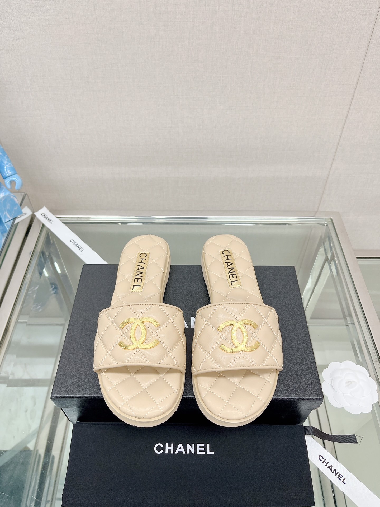 Chanel Shoes557