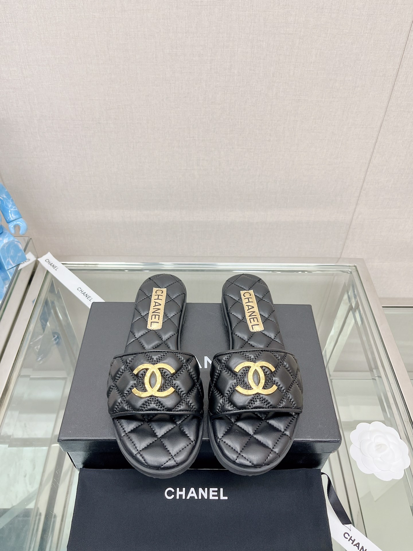 Chanel Shoes558