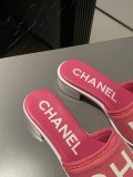 Chanel Shoes308
