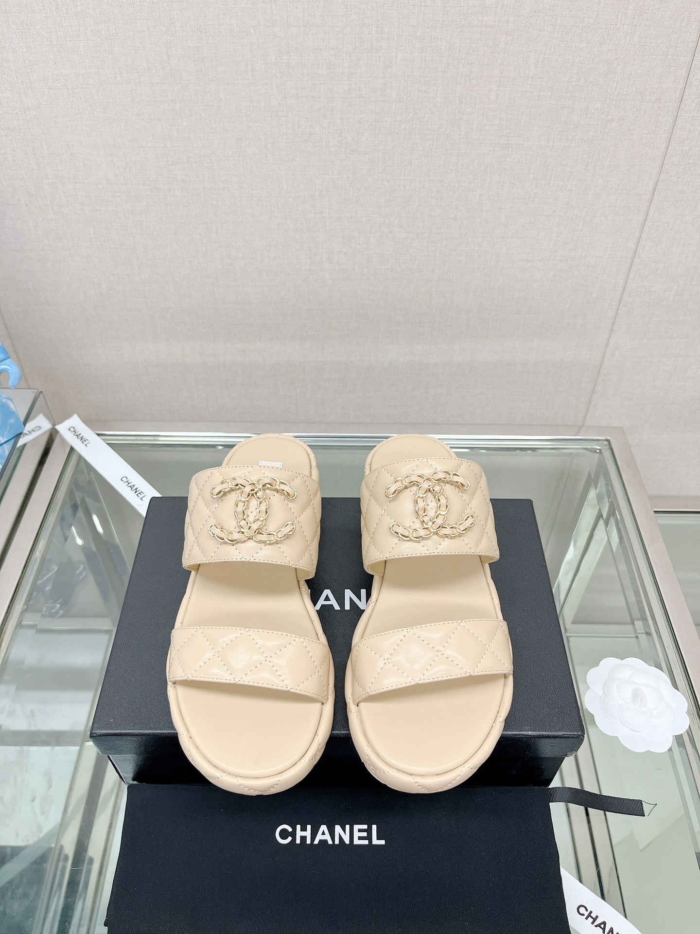 Chanel Shoes550