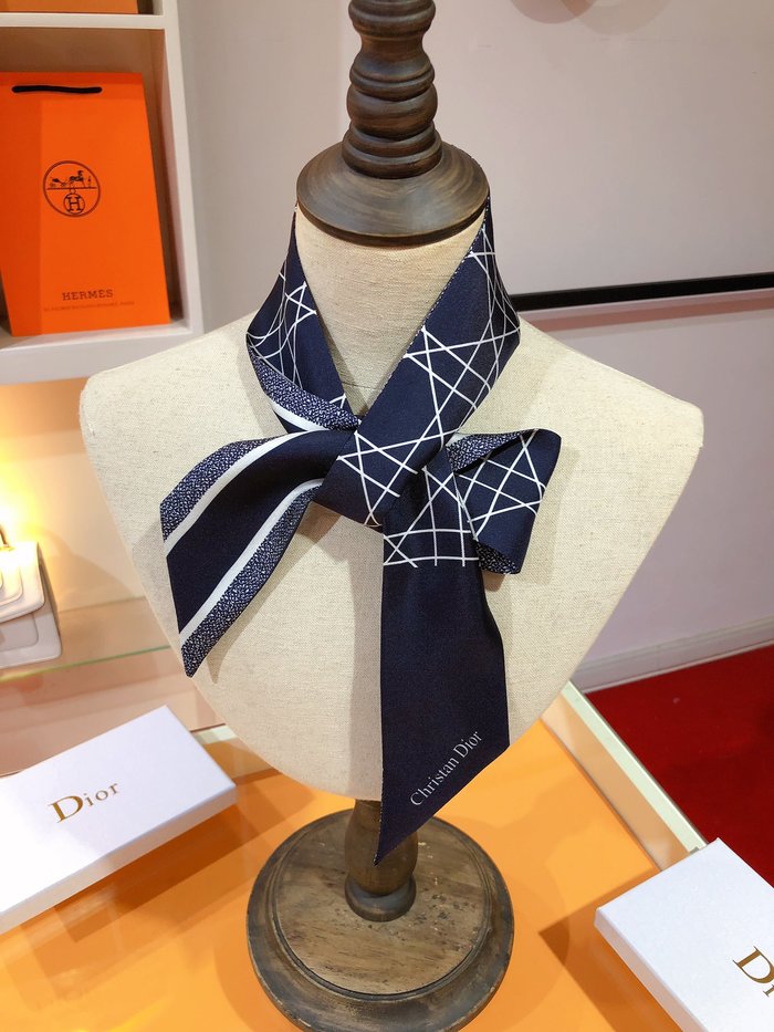 Sciarpe Dior