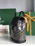 Borsa GOYARD Alpin 020195 18.5x21.5x8.5 cm