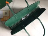 GOYARD Hardy 020176 40×17×31cm