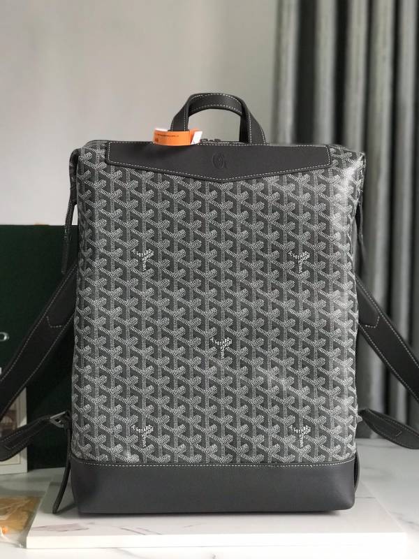 GOYARD Cisalpin 020225 33×43×14cm