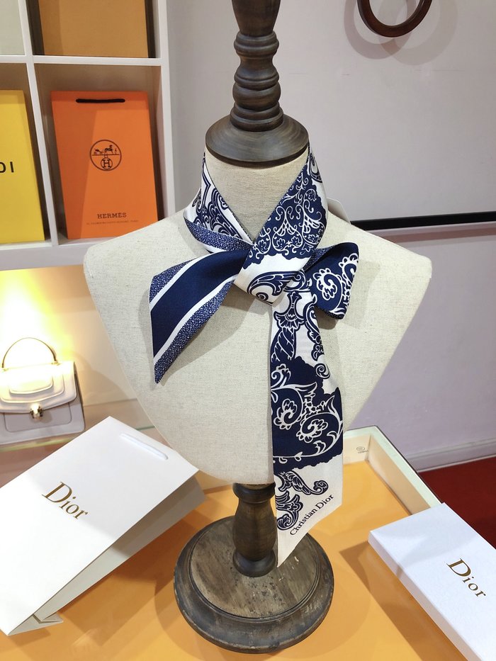 Sciarpe Dior