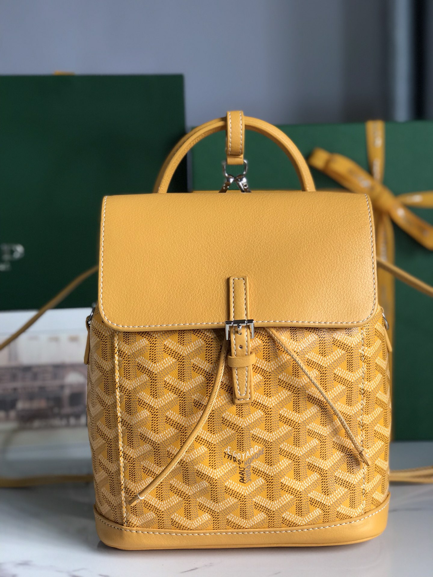 Borsa GOYARD Alpin 020195 18.5x21.5x8.5 cm