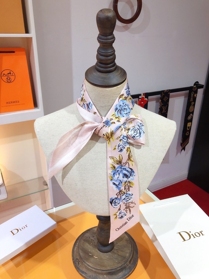 Sciarpe Dior