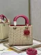 Dior M9989 Wicker 24x20x11cm