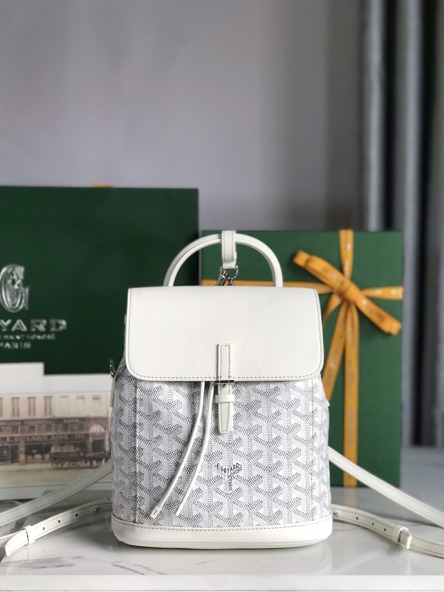 Borsa GOYARD Alpin 020195 18.5x21.5x8.5 cm