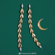 Gioielli Tiffany&Co.