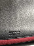 Borsa GOYARD Belvédère 020198 21x16x6Cm