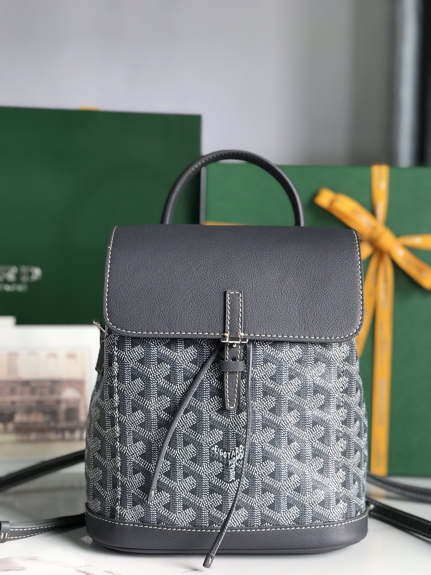 Borsa GOYARD Alpin 020195 18.5x21.5x8.5 cm