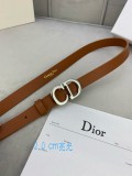 Cintura Dior 2.0cm