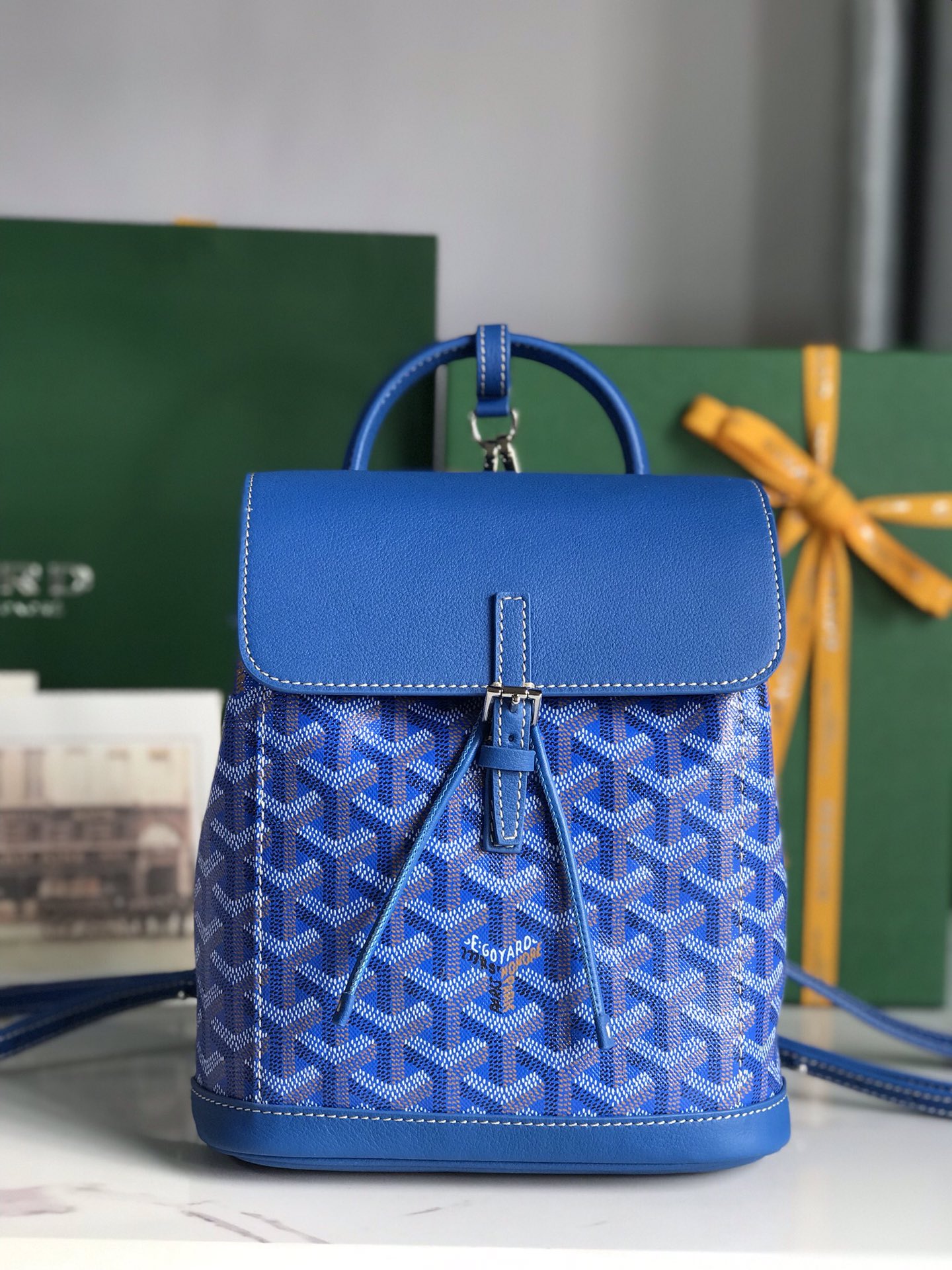 Borsa GOYARD Alpin 020195 18.5x21.5x8.5 cm