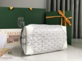 GOYARD Boeing 020215 25x12x12cm