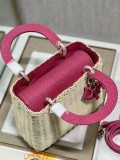 Dior M9989 Wicker 24x20x11cm