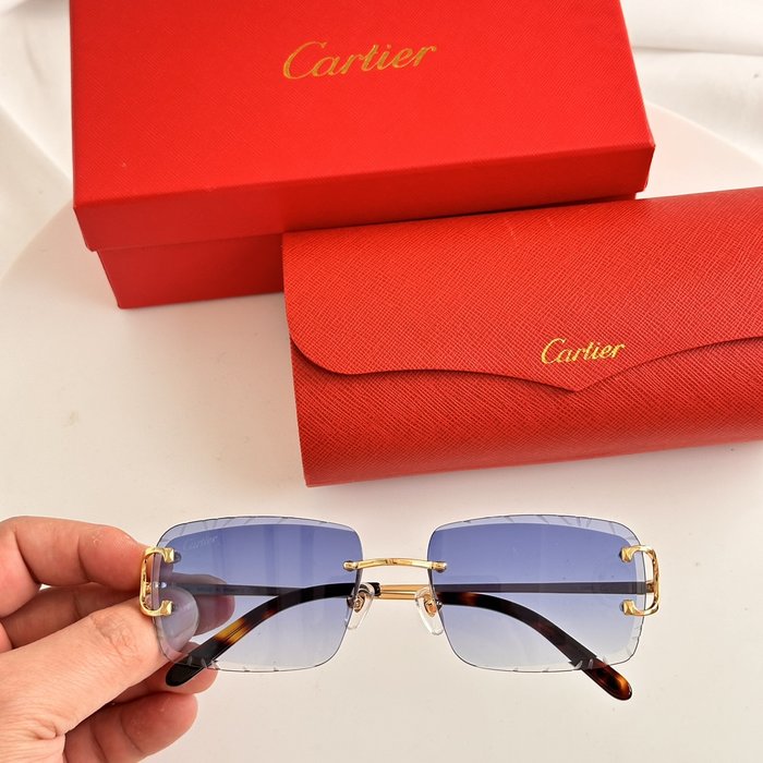 Occhiali Cartier P165
