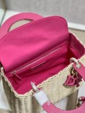Dior M9989 Wicker 24x20x11cm