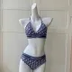 Bikini Dior