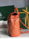 Borsa GOYARD Alpin 020195 18.5x21.5x8.5 cm