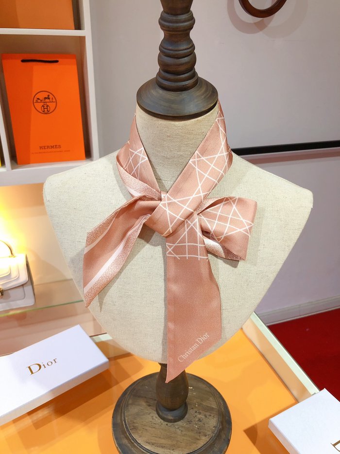 Sciarpe Dior