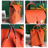 Borsa GOYARD Alpin 020195 18.5x21.5x8.5 cm