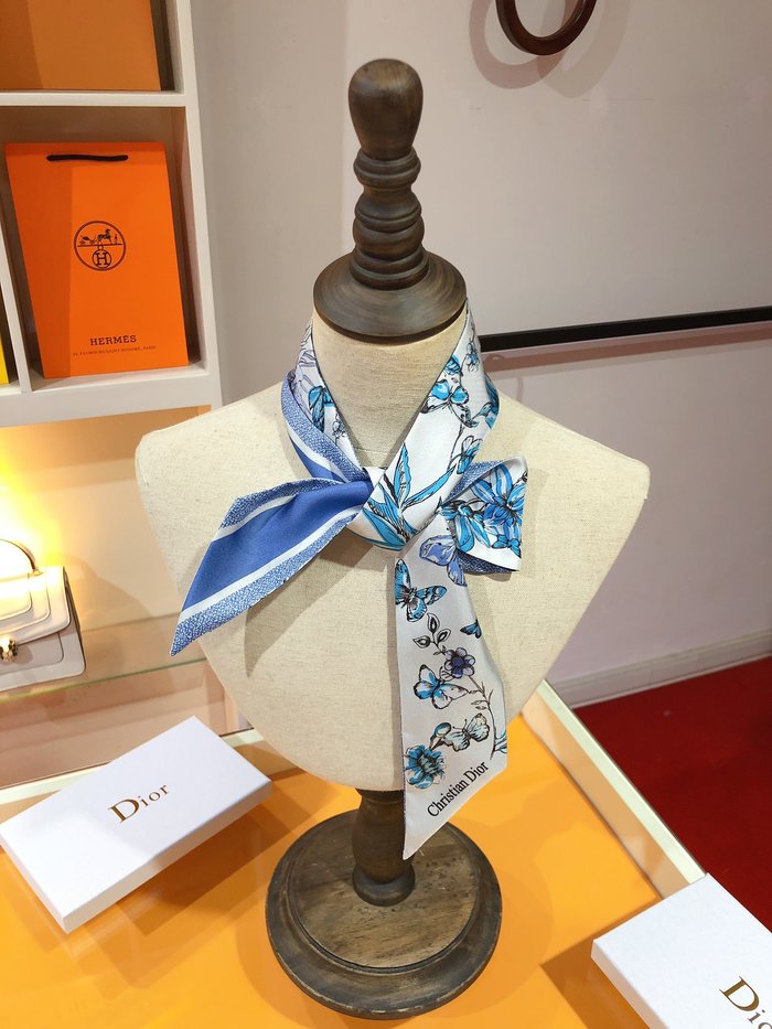 Sciarpe Dior