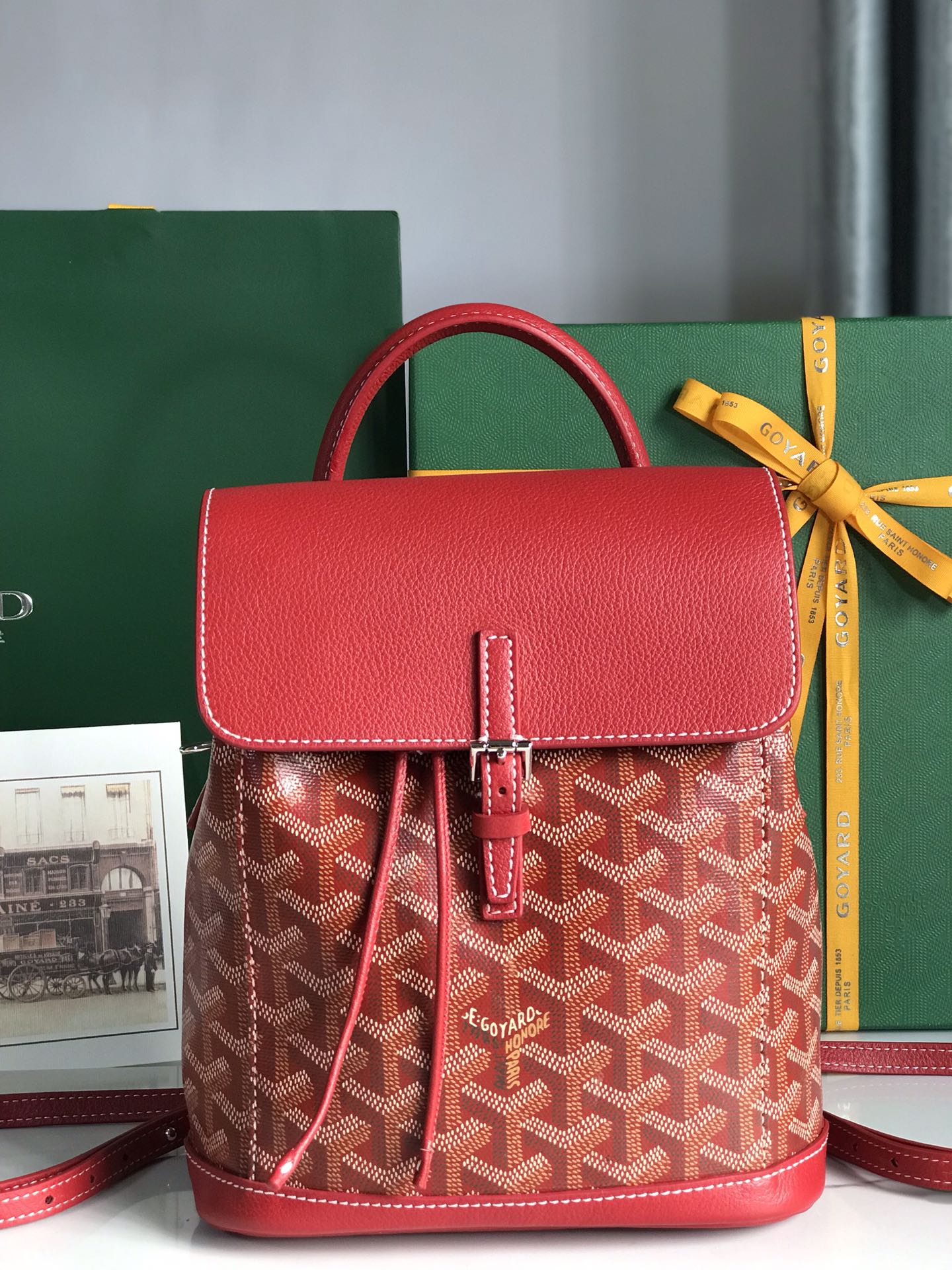 Borsa GOYARD Alpin 020195 18.5x21.5x8.5 cm