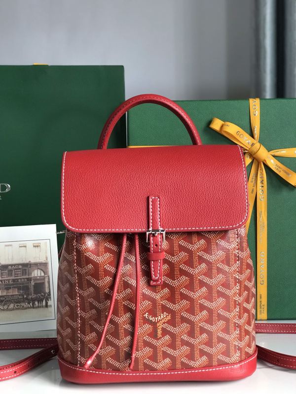 Borsa GOYARD Alpin 020195 18.5x21.5x8.5 cm