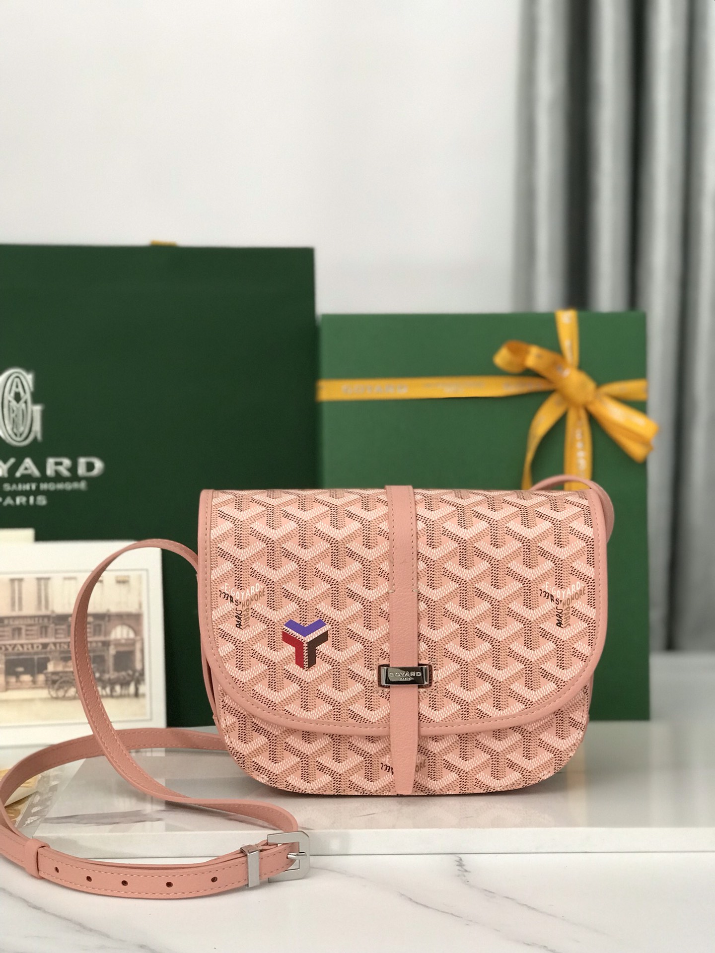 Borsa GOYARD Belvédère 020198 21x16x6Cm