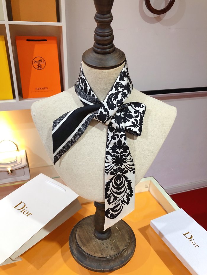 Sciarpe Dior