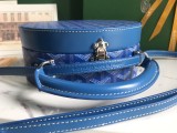 Borsa GOYARD Alto 18x16,5x7cm