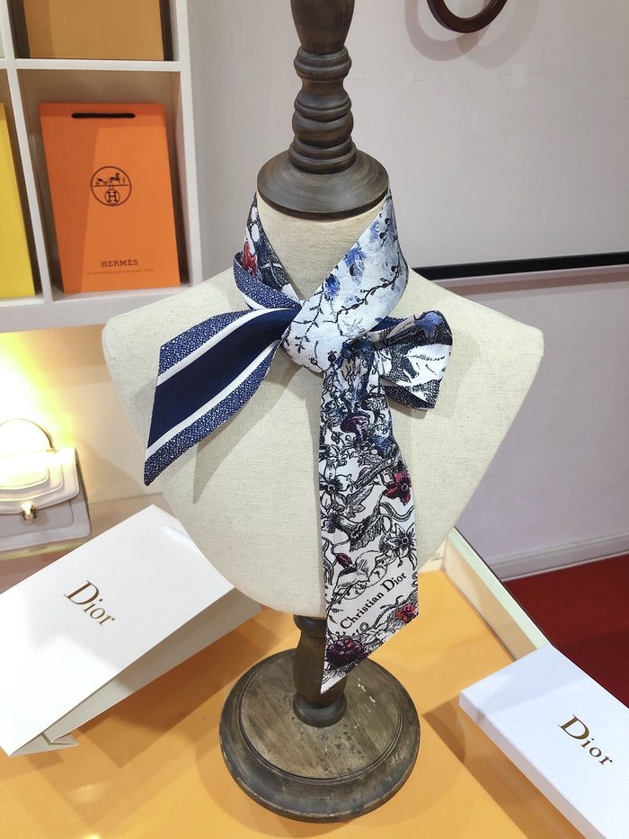 Sciarpe Dior