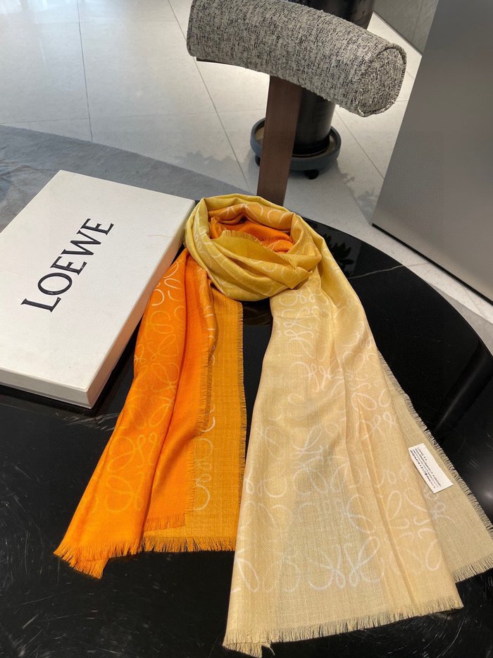 Sciarpe Loewe