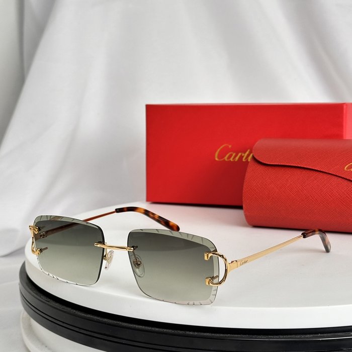 Occhiali Cartier P165