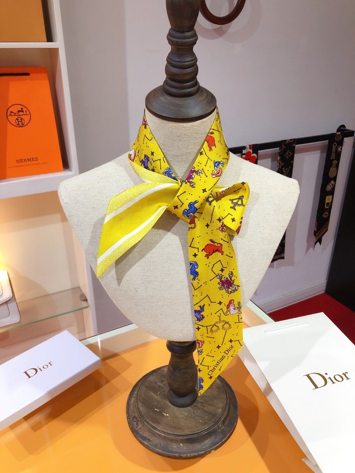 Sciarpe Dior