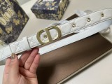 Cintura Dior 3.0cm